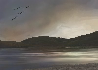 Gulls over the Kyle, 2010. 43.5cm by 30.5cm